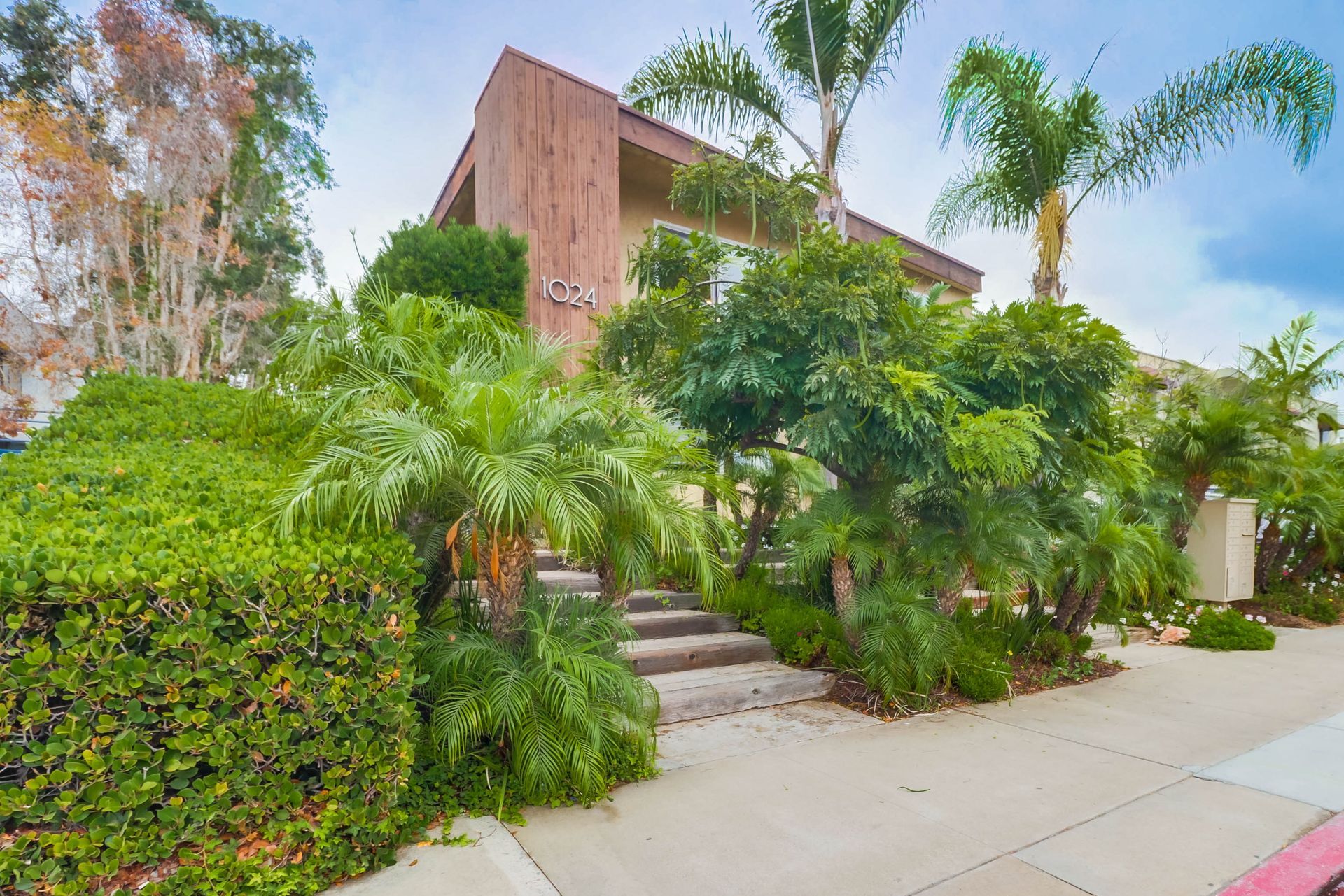 ivy exterior