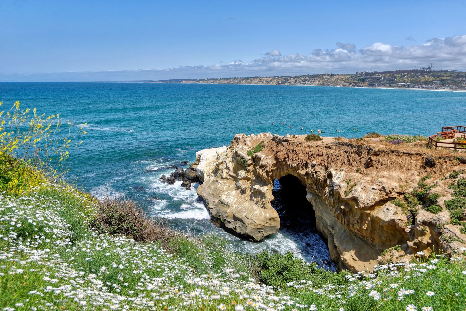 La Jolla Cove 1