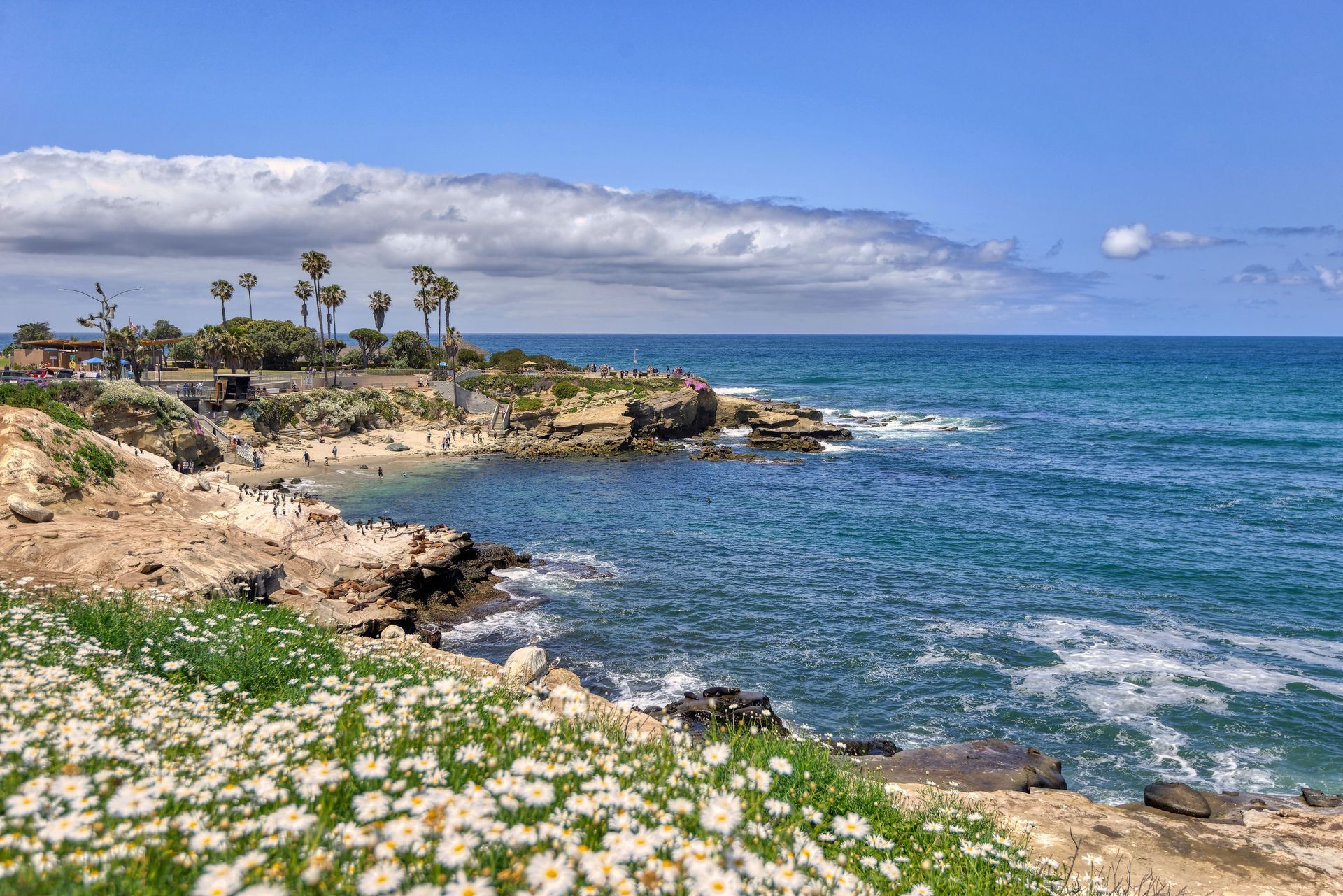 La Jolla Cove 2