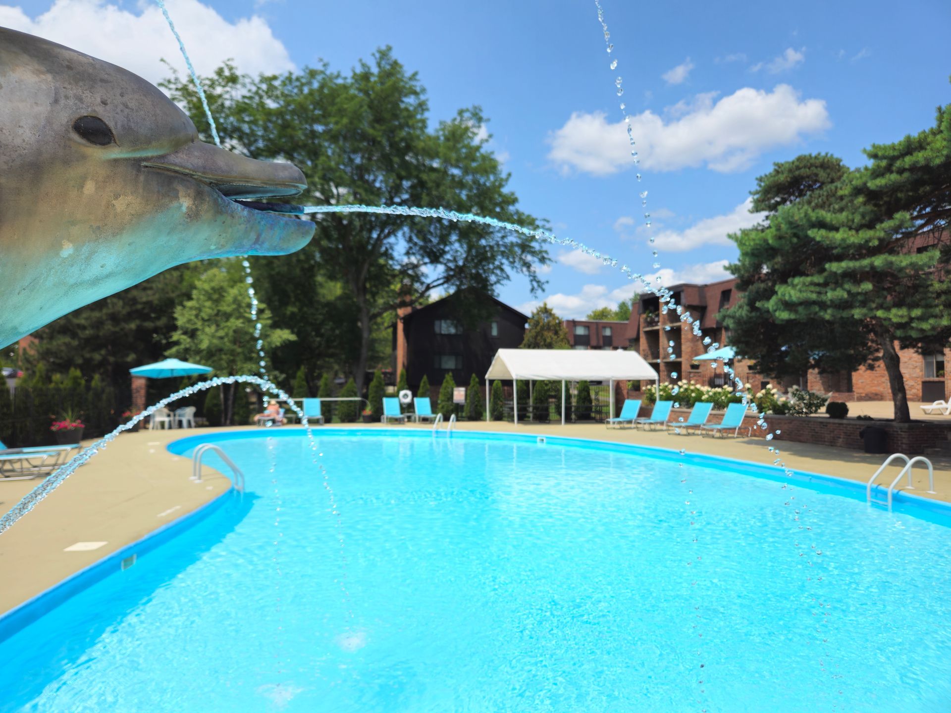 A statue of a dolphin spraying water into a pool