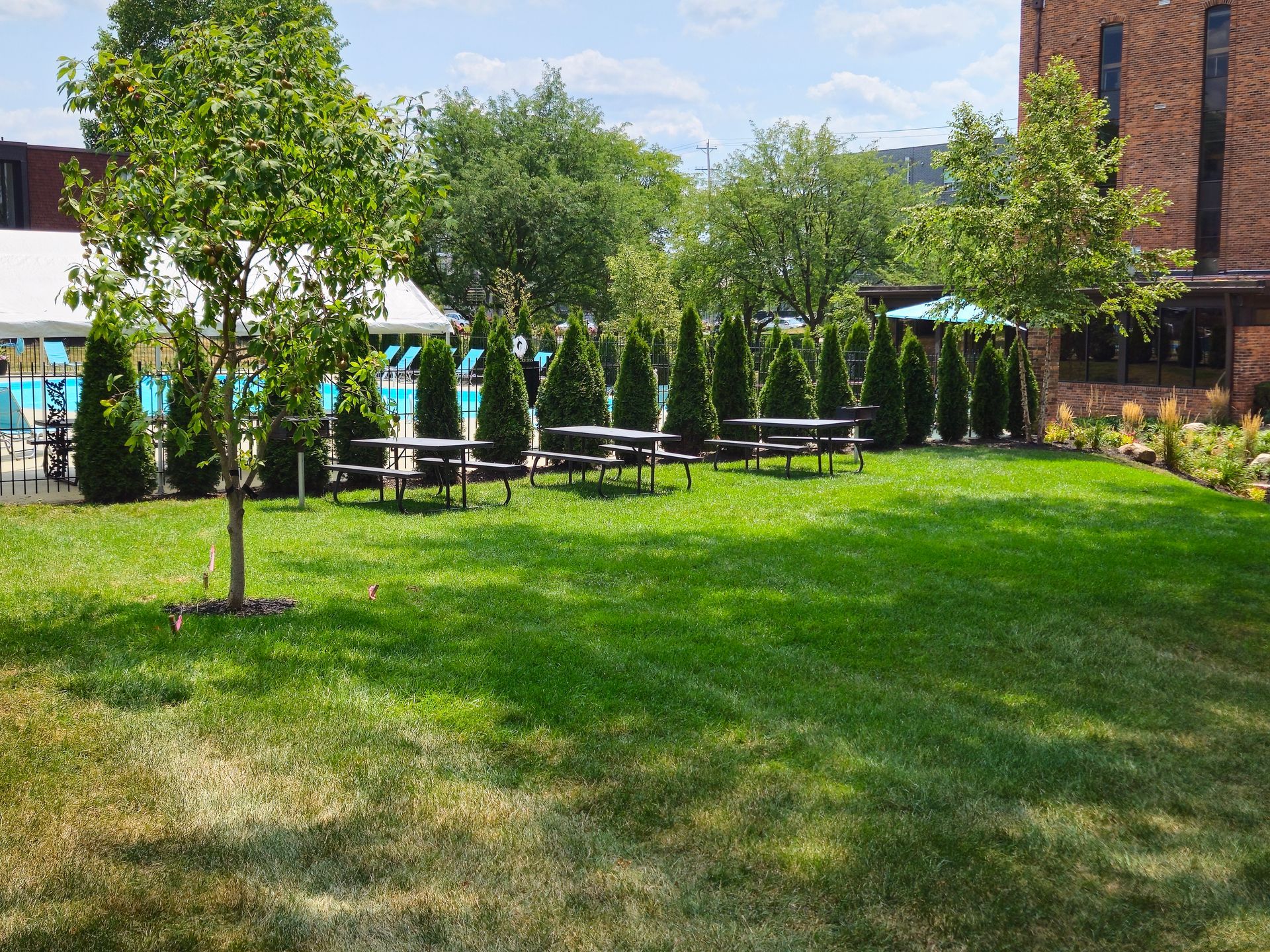 A lush green field with a row of picnic tables and trees.