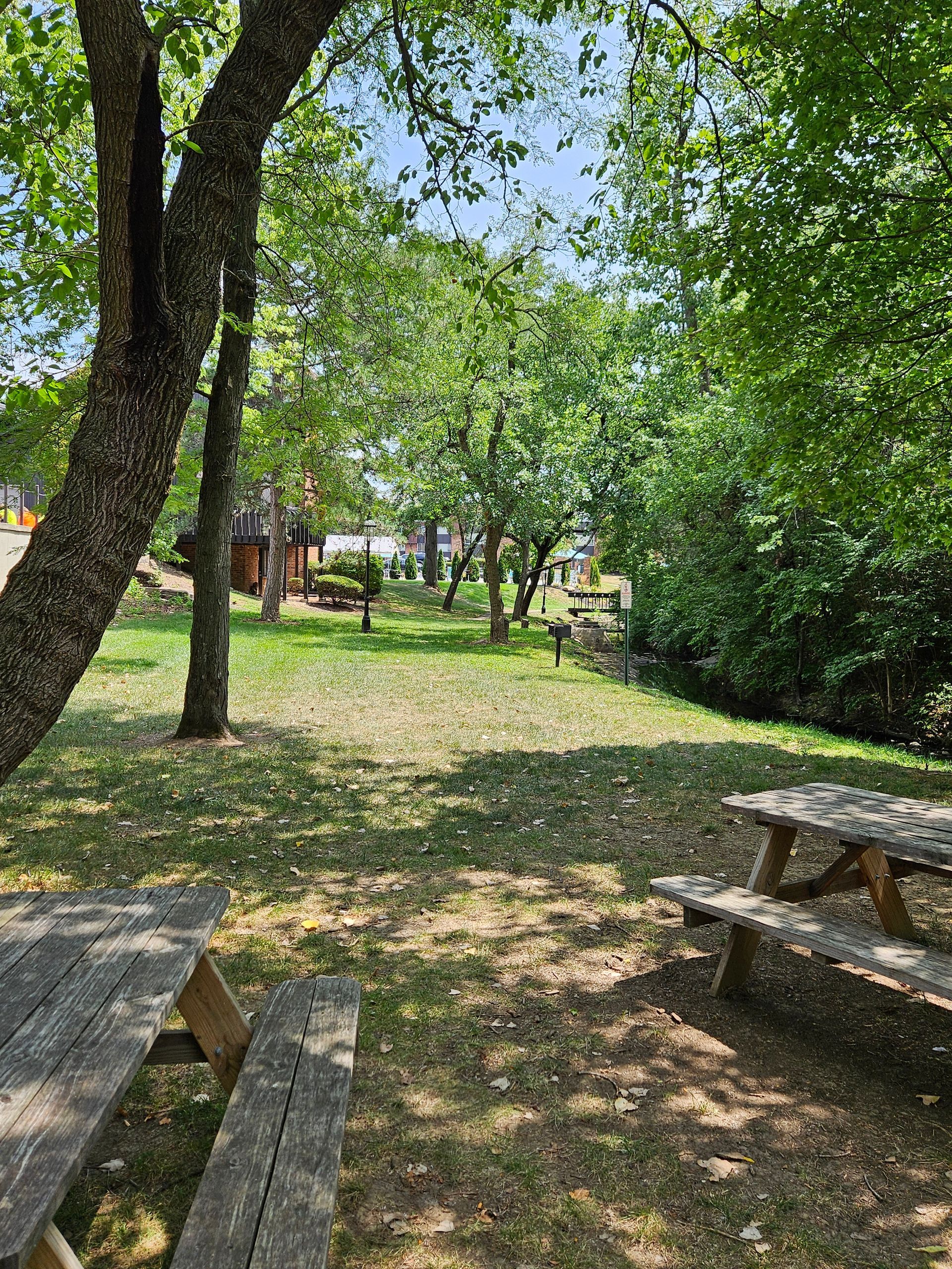 A group of wooden picnic tables are sitting under a tree in a park.