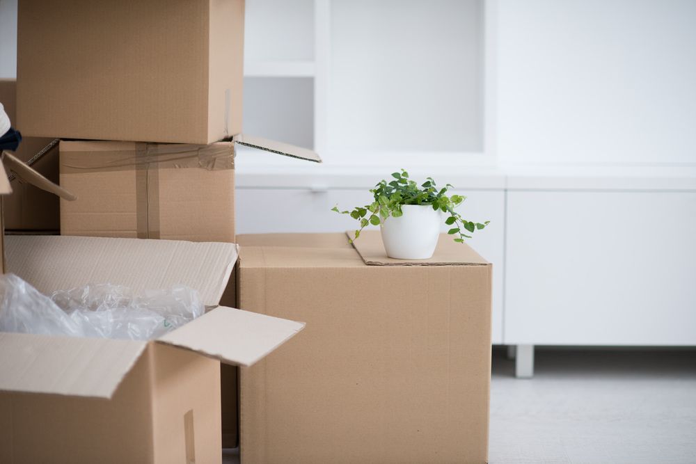 Moving Boxes In An Empty Room — Self Storage in Alice Springs, NT