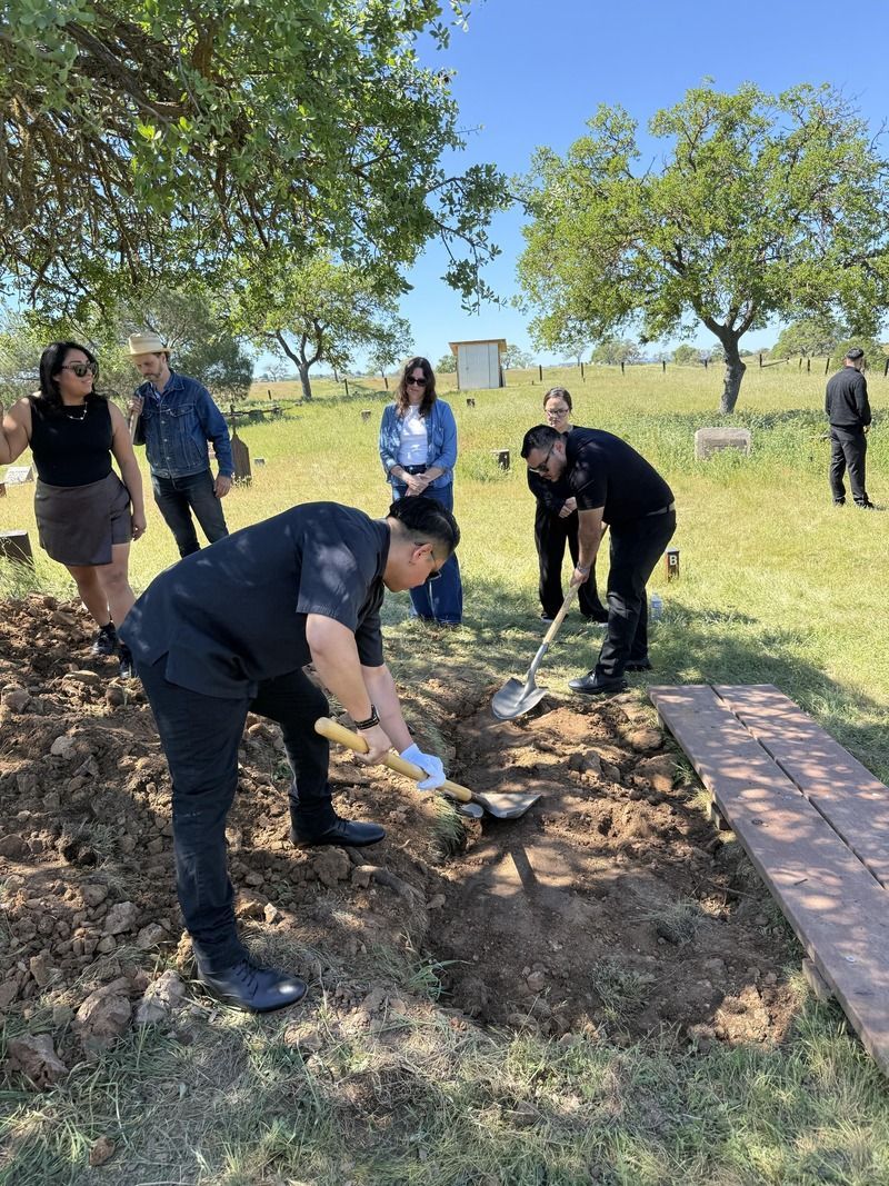 People planting a tree outdoors in a grassy park on a sunny day