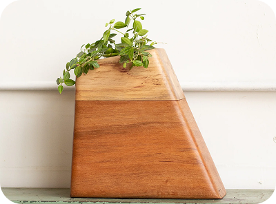 Wooden plant pot with a small green herb on a white surface