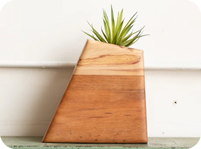 Wooden geometric planter with a small green succulent on a white shelf