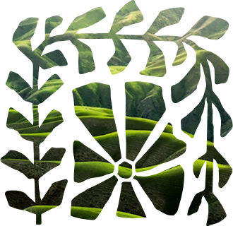 Green leaf mosaic forming a floral square pattern on a white background