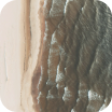Close-up of a wrinkled brown and white textured surface with vertical ridges