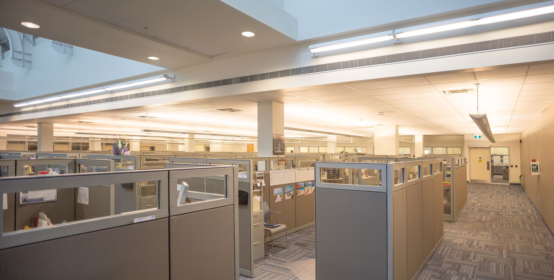 Office cubicles in a brightly lit room with a neutral color scheme.