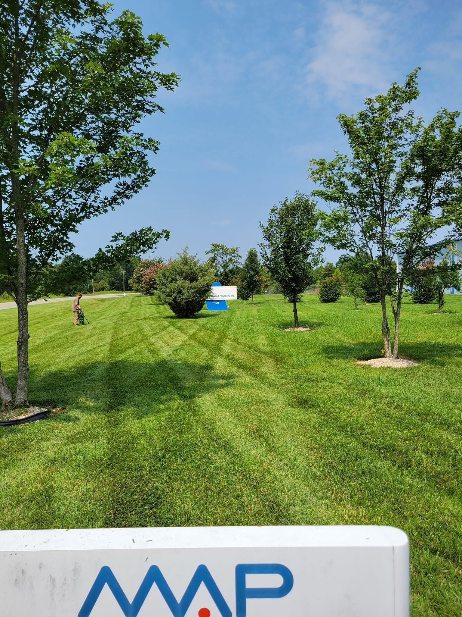 Sunny green lawn with young trees and a blue bench, with an AAP sign at the bottom