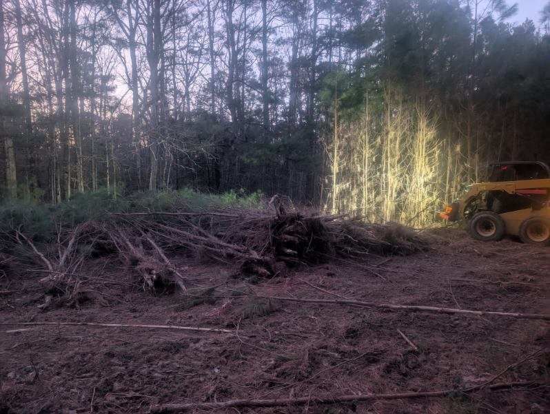 Forested clearing with brush piles and a yellow excavator at dusk