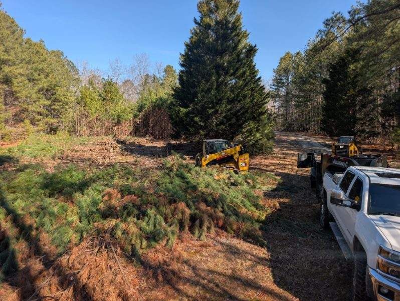 Wooded clearing with a yellow excavator and white pickup truck on a dirt path under clear skies