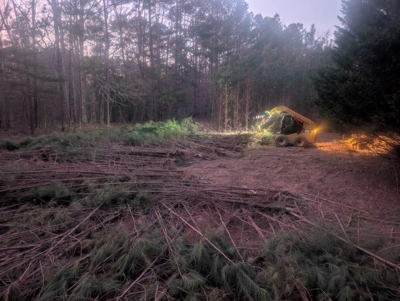 Cleared forest edge at dusk, with a yellow excavator near a bright work light among trees and brush.