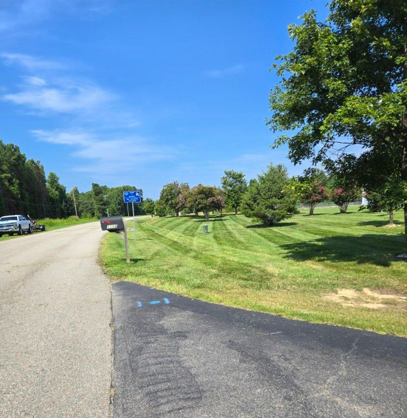 Sunlit suburban roadside with grassy median, trees, and parked cars under a blue sky