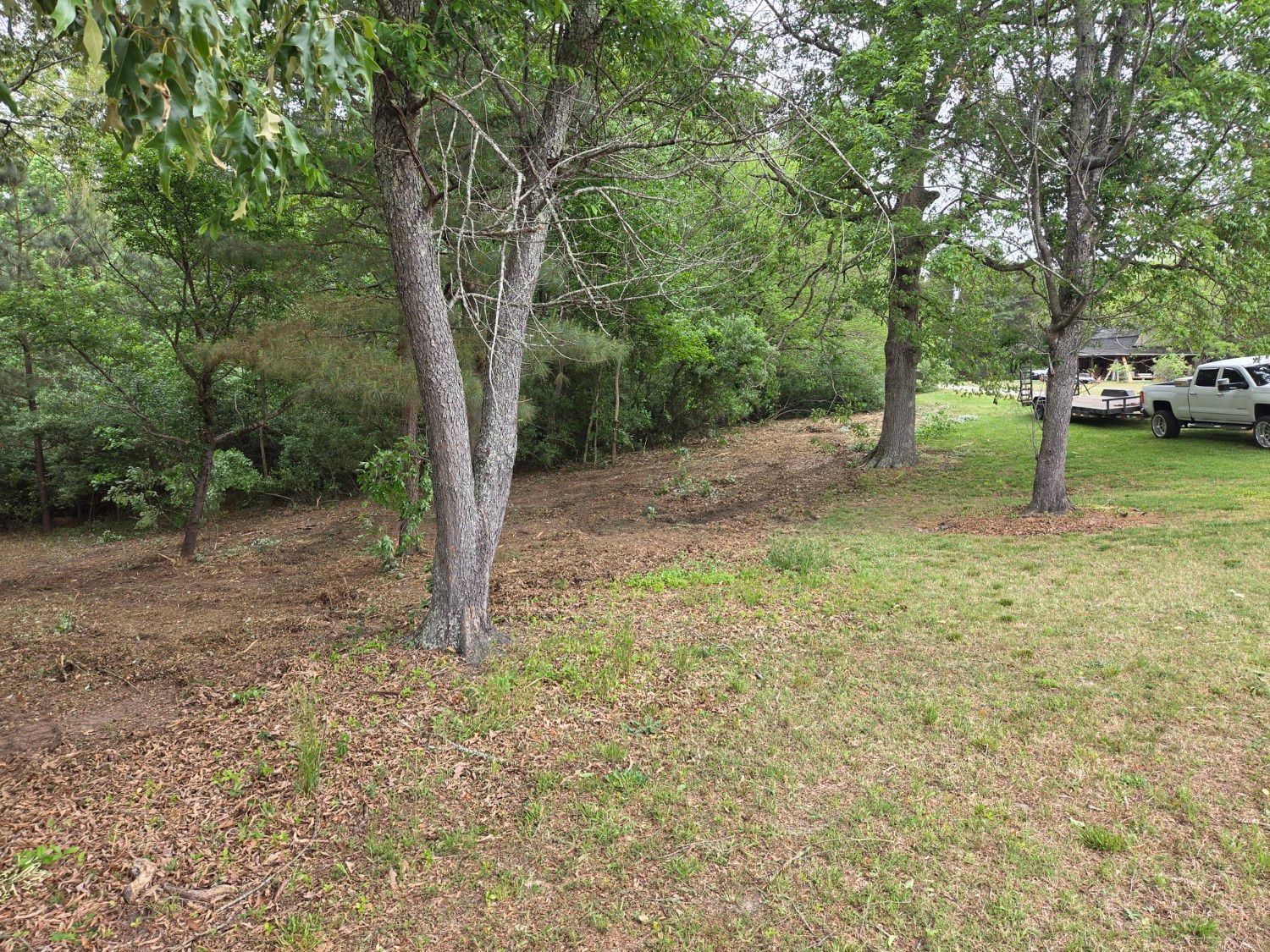Wooded yard with grassy clearing, fallen leaves, and parked vehicles in the background