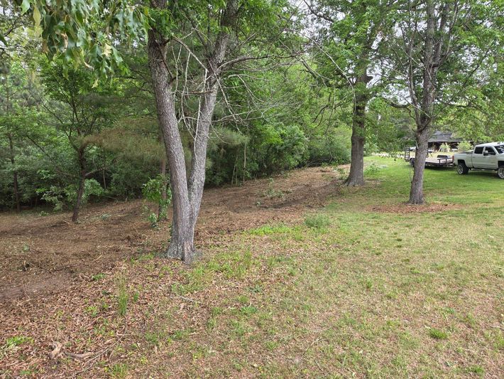 Wooded grassy area with several trees and a parked white truck in the background