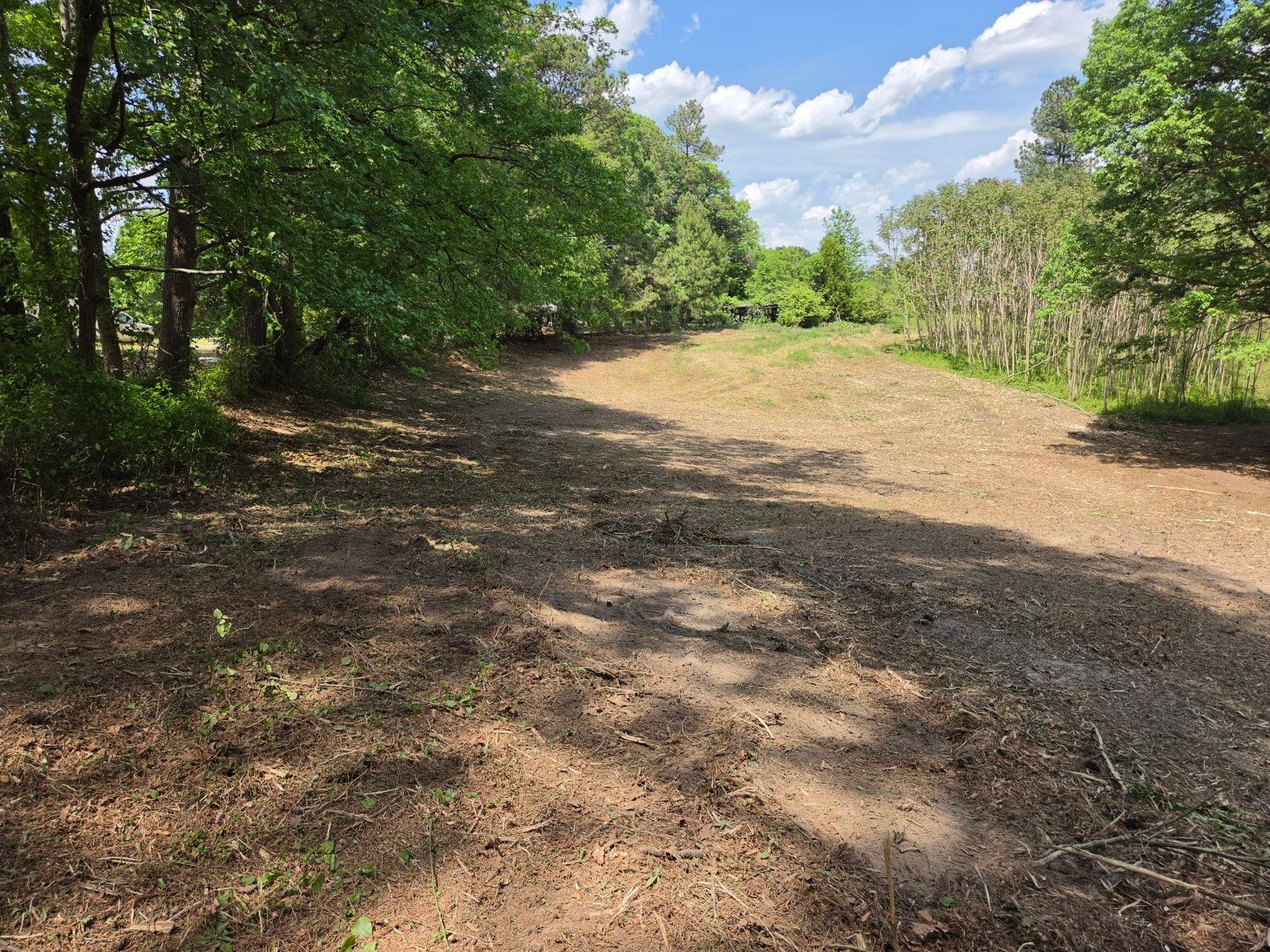 Sunny dirt trail through a wooded clearing with green trees and blue sky