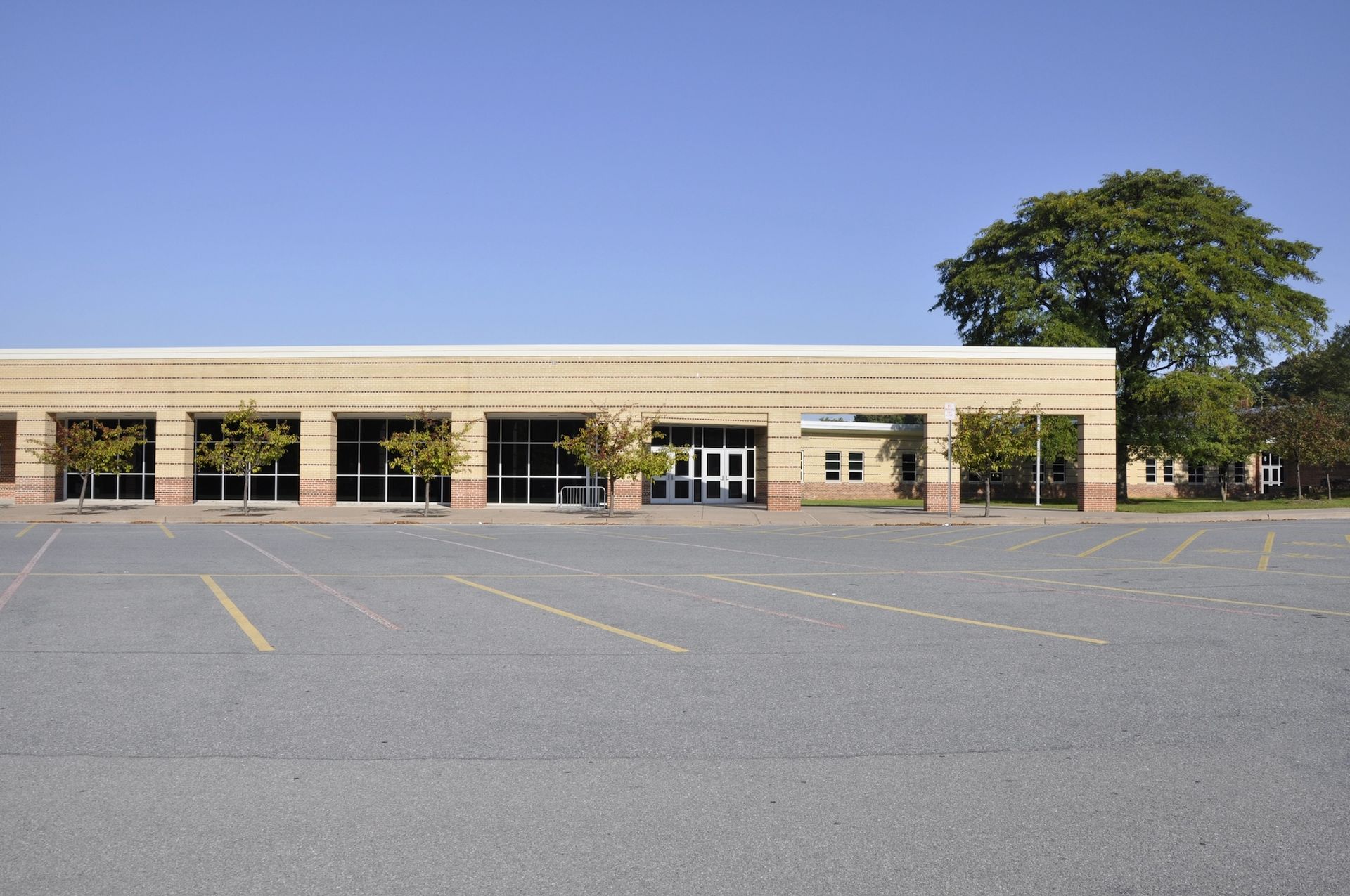 Single-story brick storefront with empty parking lot and large tree under a blue sky.