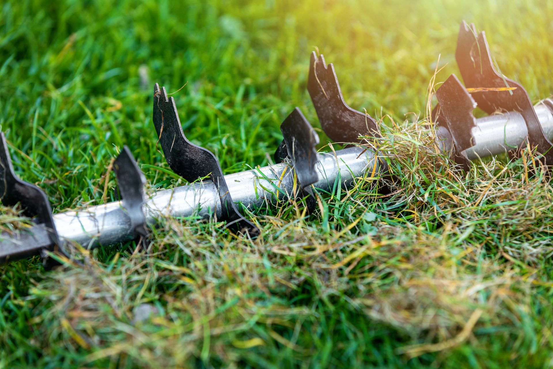 a close up of a lawn aerator on a lush green lawn .