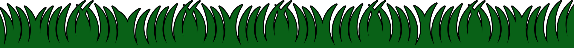 A row of tall green grass on a white background.