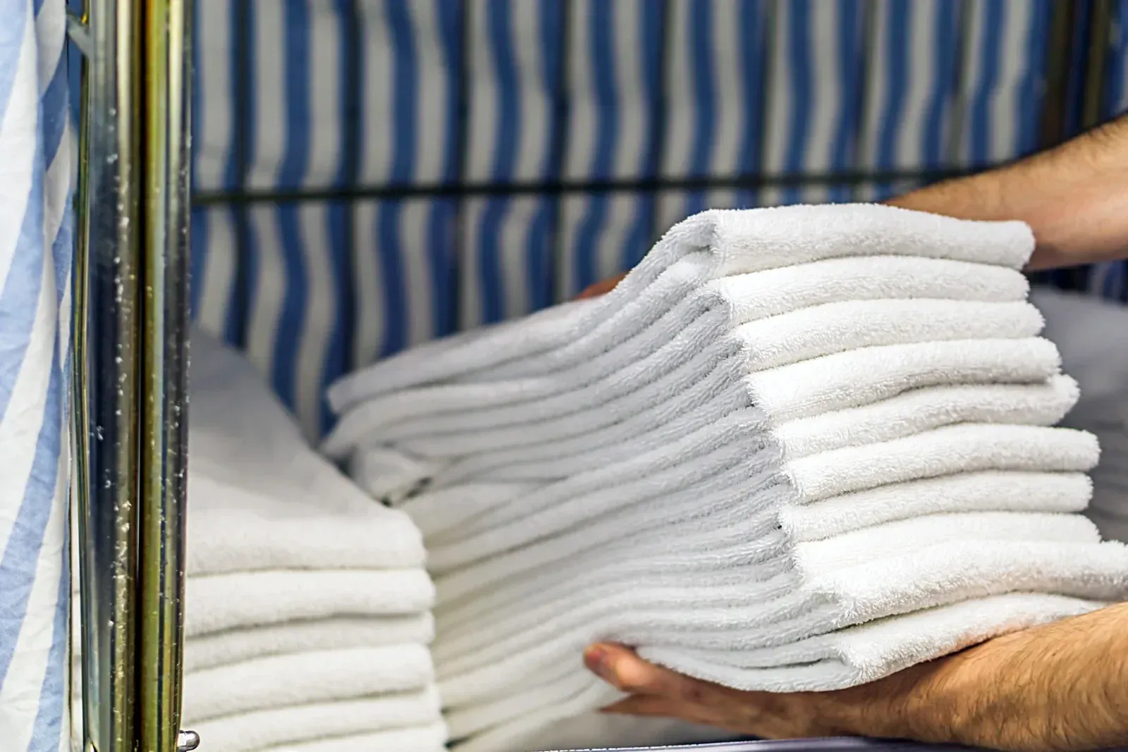 A person is holding a stack of white towels in their hands.
