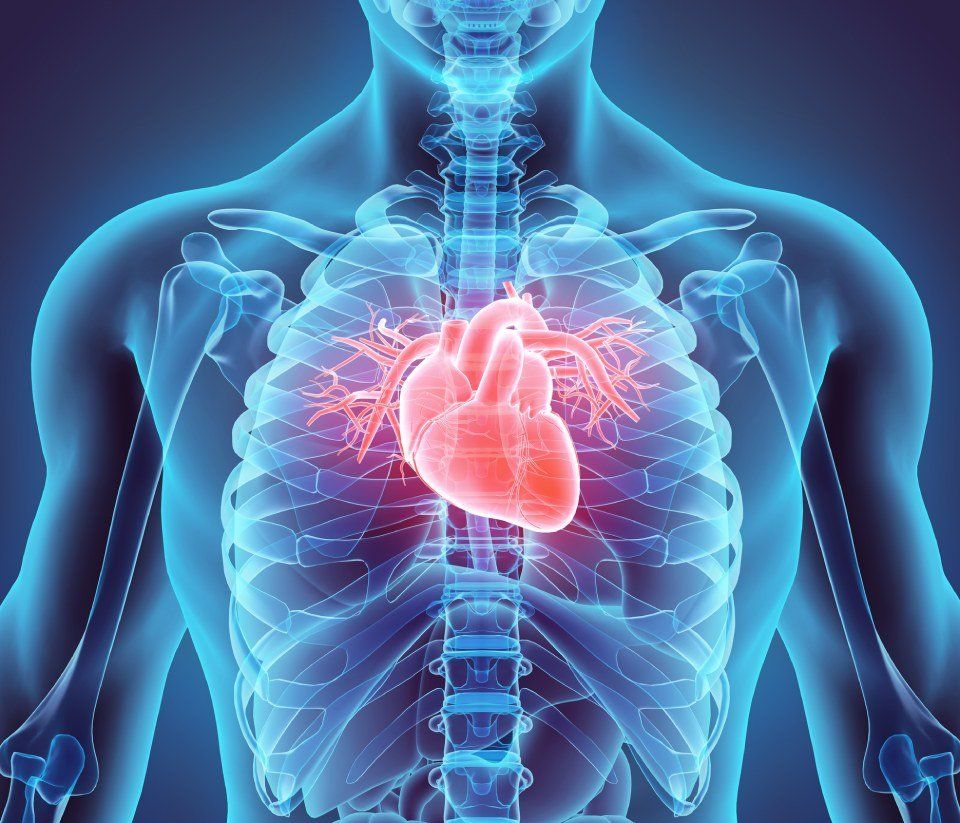 Cardiologia