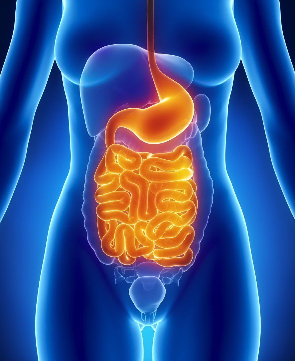 Gastroenterologia