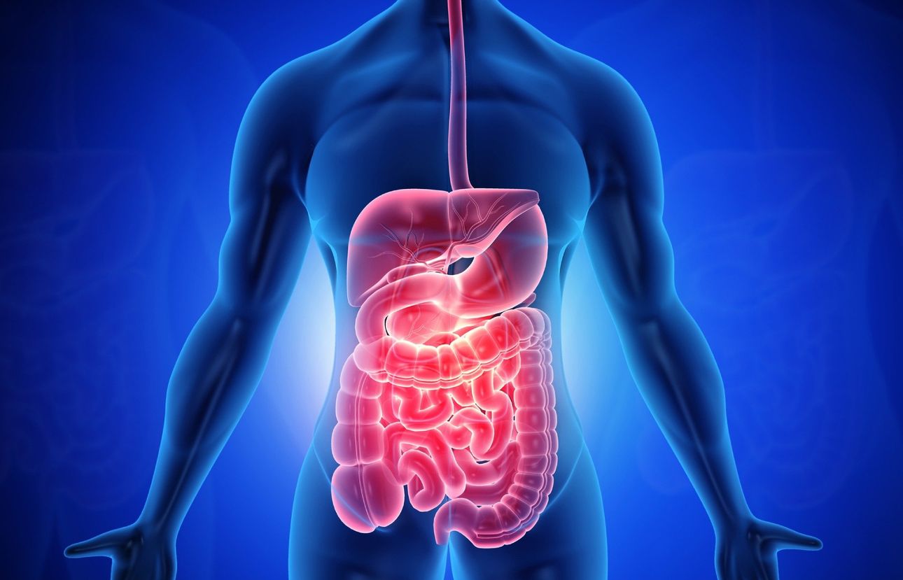 Gastroenterologia