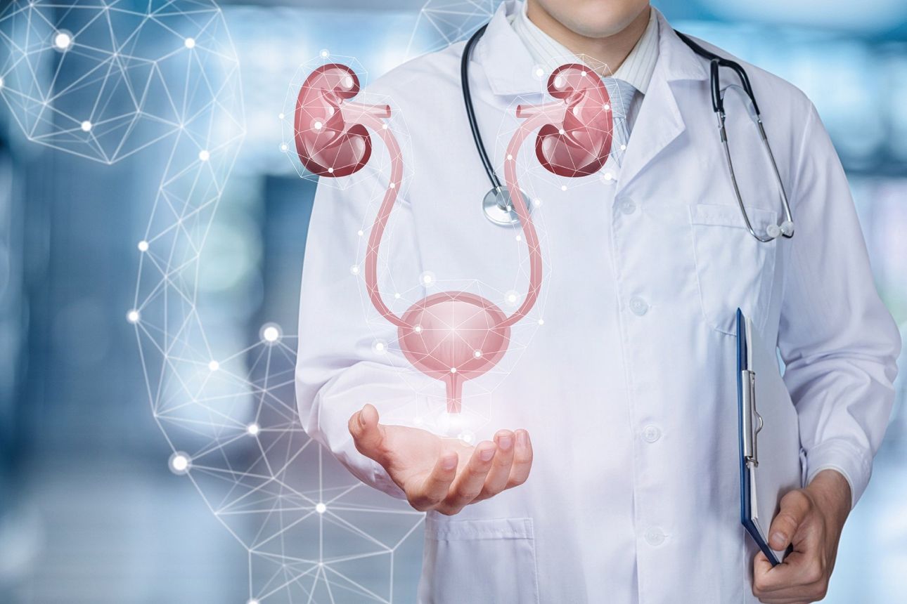 Urologia