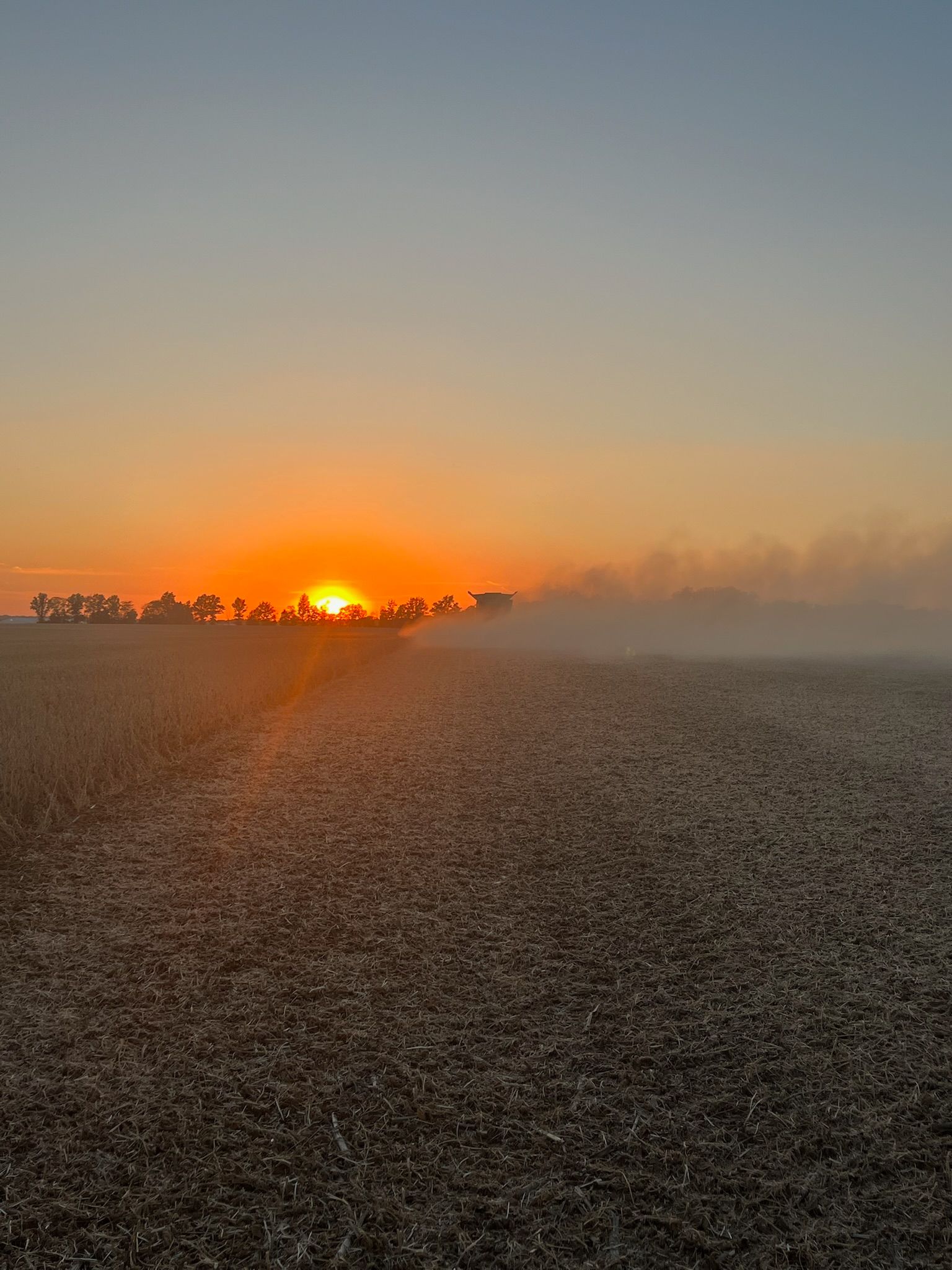 Sunrise over a harvested field, with a hazy horizon and silhouettes of trees.