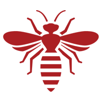 Bees — East Bernard, TX — Scott's Pest Control Bees — East Bernard, TX — Scott's Pest Control