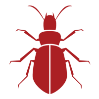 Beetles — East Bernard, TX — Scott's Pest Control Beetles — East Bernard, TX — Scott's Pest Control