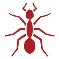 Carpenter Ant — East Bernard, TX — Scott's Pest Control Carpenter Ant — East Bernard, TX — Scott's Pest Control