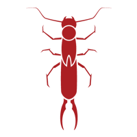 Earwig — East Bernard, TX — Scott's Pest Control Earwig — East Bernard, TX — Scott's Pest Control