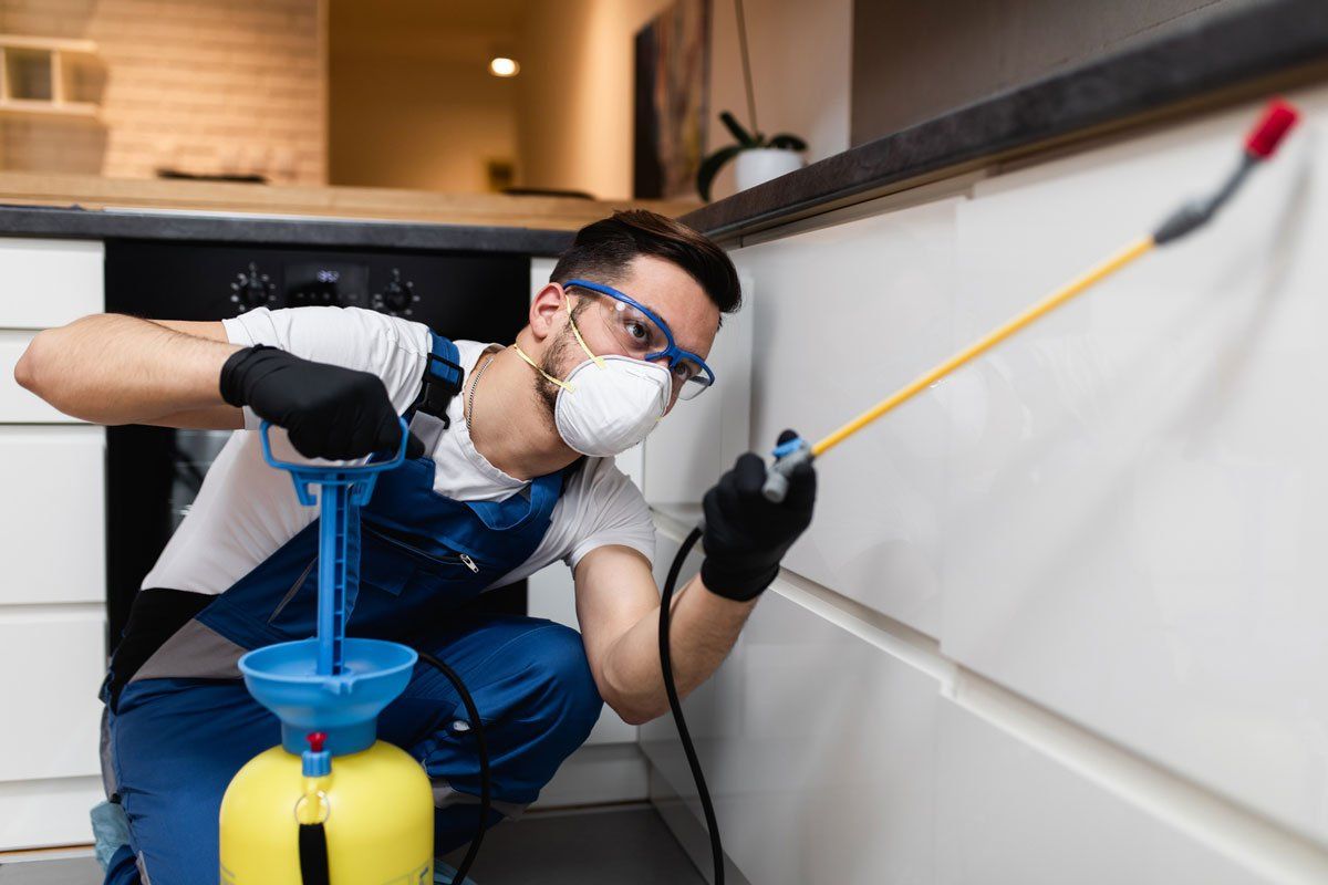 Professional Exterminator in Protective Work Wear Spraying Pesticide — East Bernard, TX — Scott's Pest Control