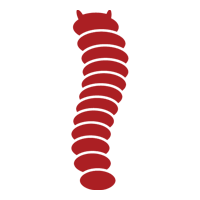 Grubs — East Bernard, TX — Scott's Pest Control Grubs — East Bernard, TX — Scott's Pest Control