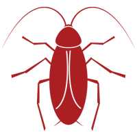 Roaches — East Bernard, TX — Scott's Pest Control Roaches — East Bernard, TX — Scott's Pest Control
