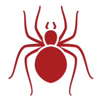Spiders — East Bernard, TX — Scott's Pest Control Spiders — East Bernard, TX — Scott's Pest Control