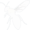 Bees — East Bernard, TX — Scott's Pest Control Bees/Wasps — East Bernard, TX — Scott's Pest Control