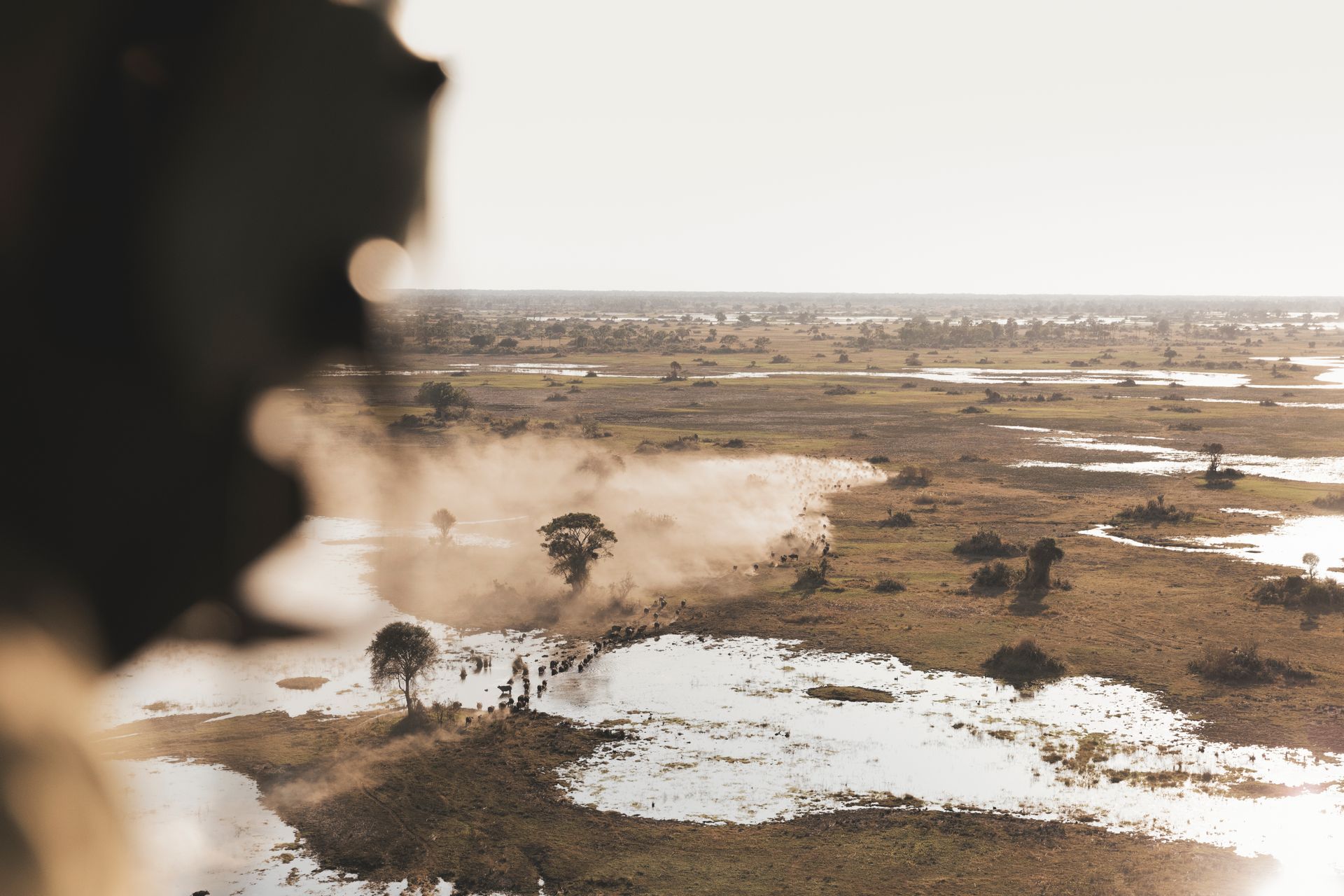 An aerial view of a dust cloud blowing across a marshy savanna landscape with scattered trees and pools of water.