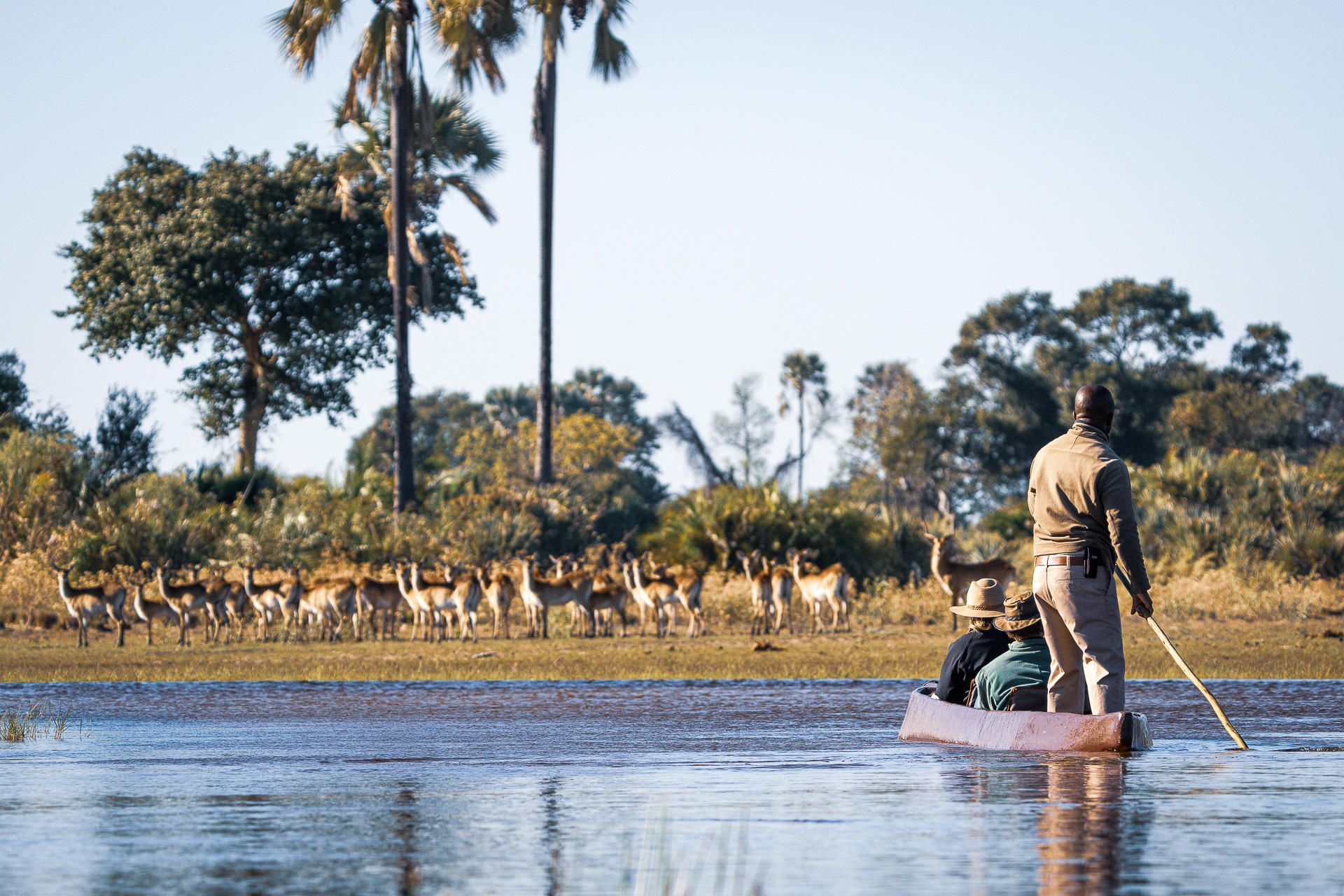 A man is rowing a boat down a river.