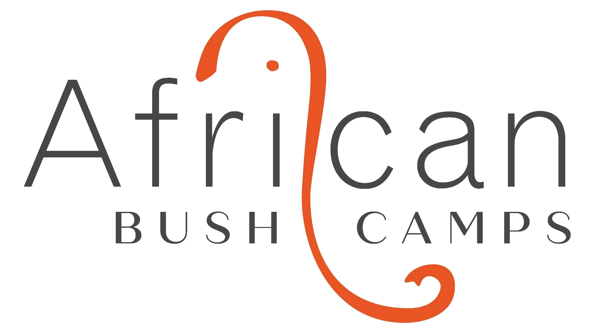 African Bush Camps