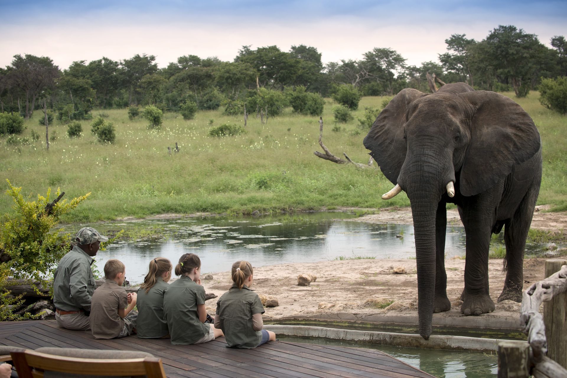 A group of people sitting on a deck looking at an elephant