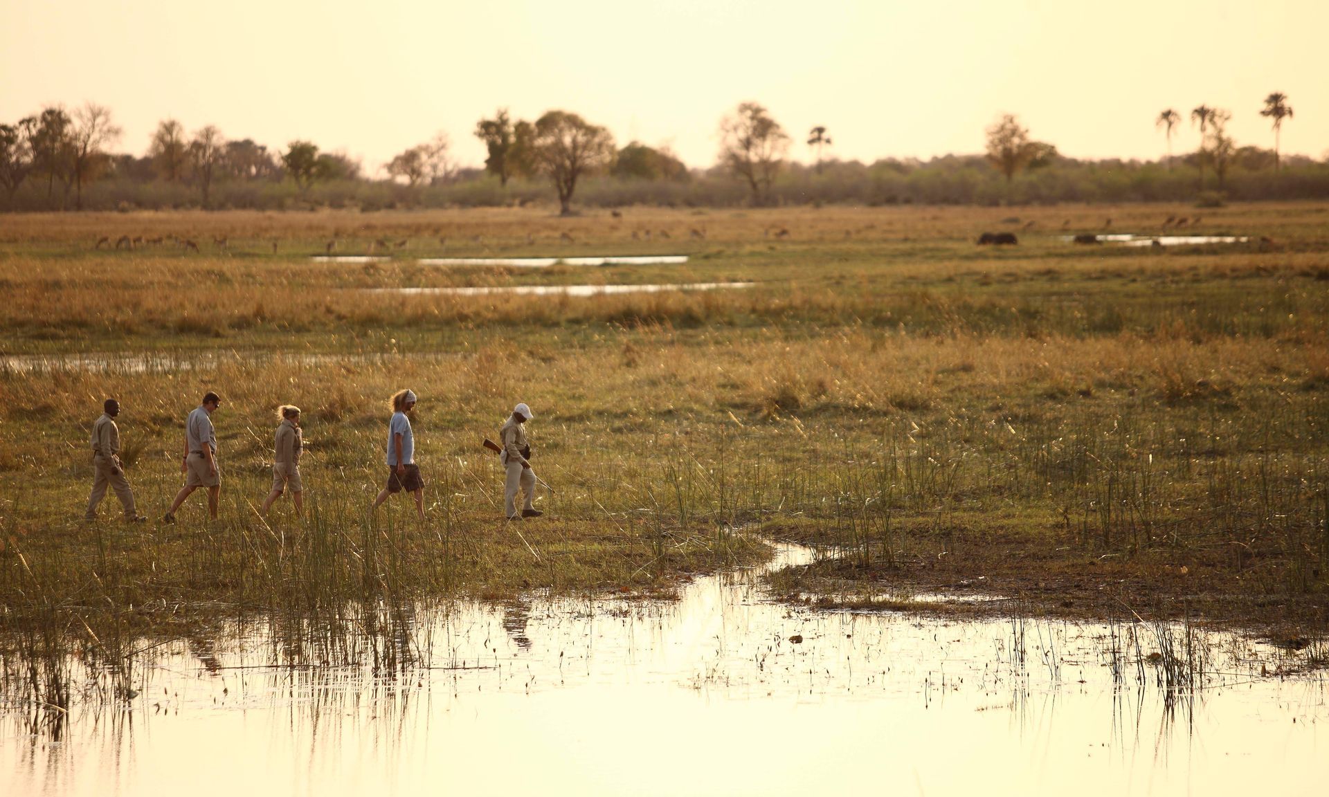 A group of people are walking across a swamp.