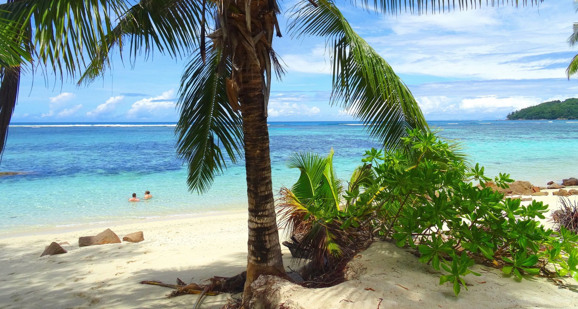 A couple of people are swimming in the ocean on a tropical beach.
