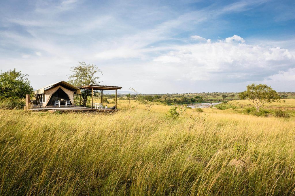A tent is sitting in the middle of a grassy field.