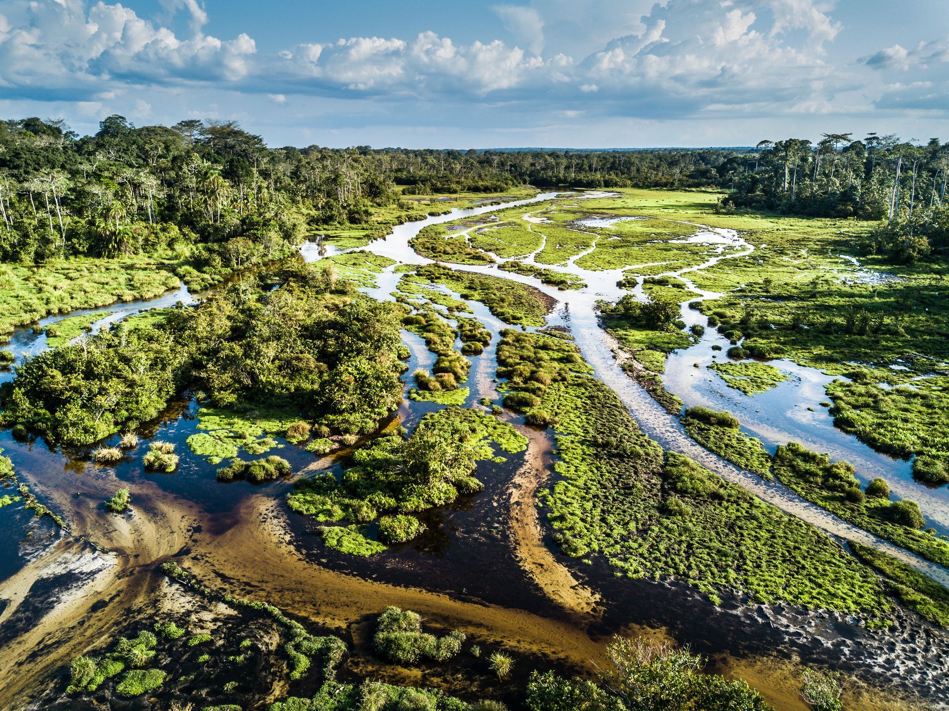 An aerial view of a river running through a lush green forest.