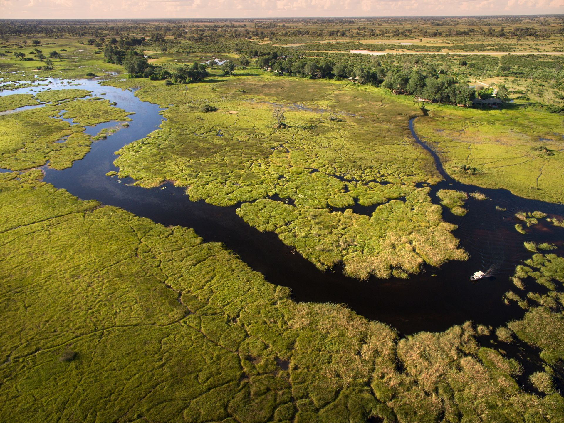 An aerial view of a river flowing through a lush green swamp.