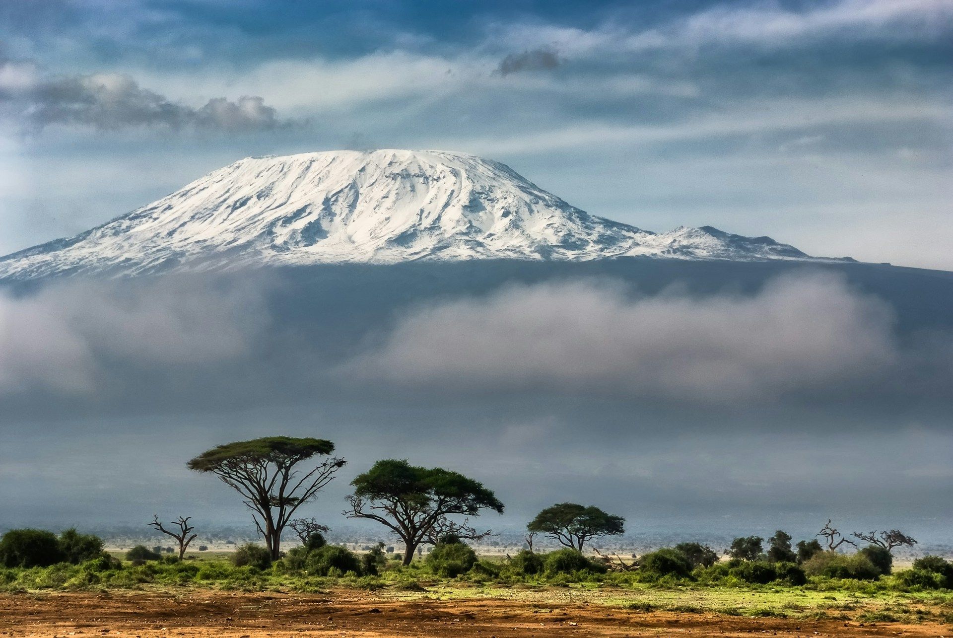 A snowy mountain with trees in the foreground and a cloudy sky in the background.