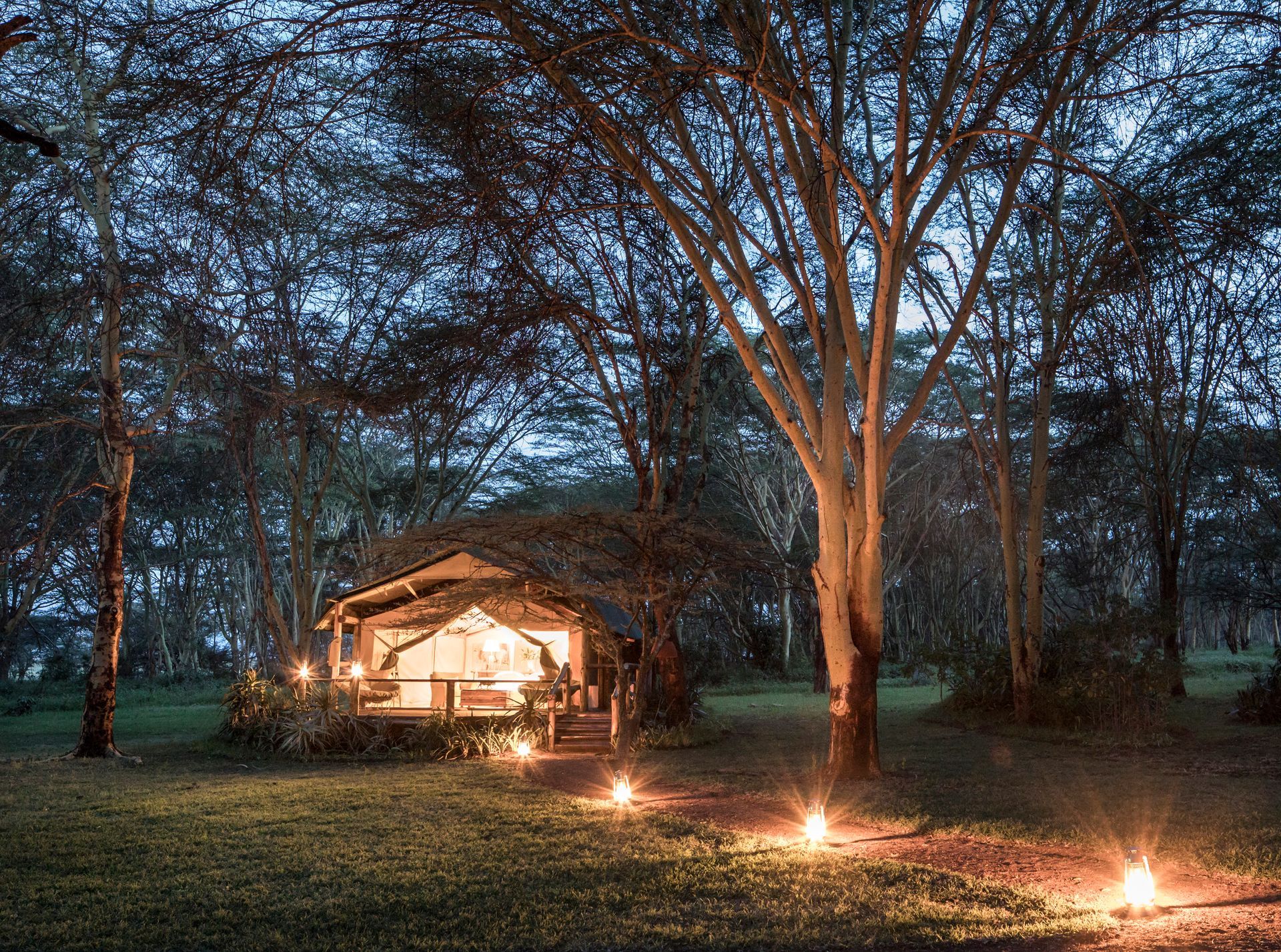 A tent is lit up in the middle of a forest at night.